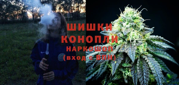 дмт Магас
