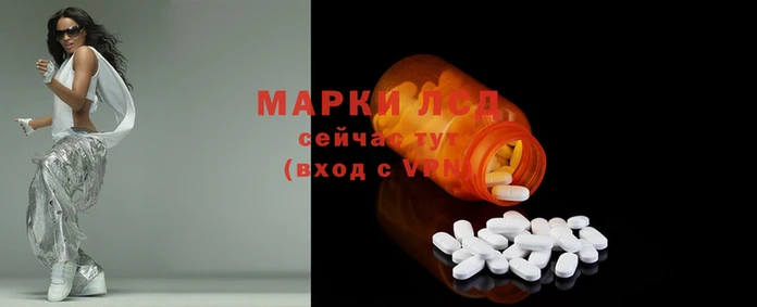 дмт Магас
