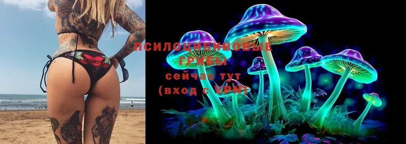 Галлюциногенные грибы Psilocybine cubensis  где купить наркоту  Починок 